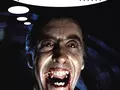 files/u9836/ipad_scarry_repair.jpg