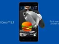 Nokia 8 получила beta-версию Android 8.1
