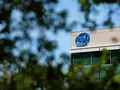 post_big/intel-sign-tree.jpg
