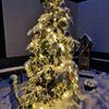 IMG_20181213_165807.jpg