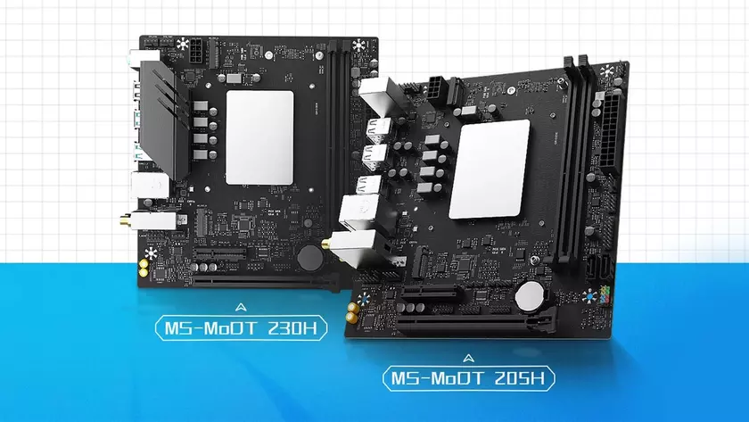 Материнские платы Maxsun MS MoDT