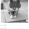 Screenshot_20170405-104207.png