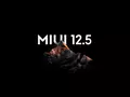 post_big/MIUI-12-5.jpg