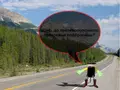 post_big/hitchbot.jpg