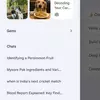 Preview Google Gemini Hamburger Menu