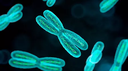 Trillion Gene Atlas: як Basecamp Research збирається «перетравити» генетику планети за два роки