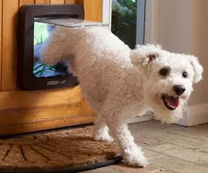 SureFlap Microchip Pet Door