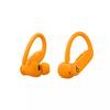 Couleur de l'étui Powerbeats Pro 2