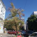 20180822_144150.jpg