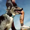 Fi Ultra мініатюра 1