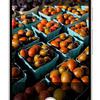 Попередній перегляд функцій Google Pixel