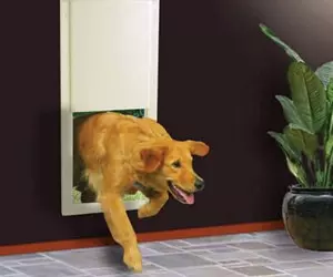 High Tech Pet Power Pet Electronic ...