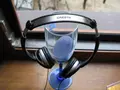 Микрообзор бюджетых наушников Cresyn C550H
