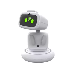 Aibi Pocket Pet