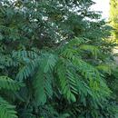 20180811_184203.jpg