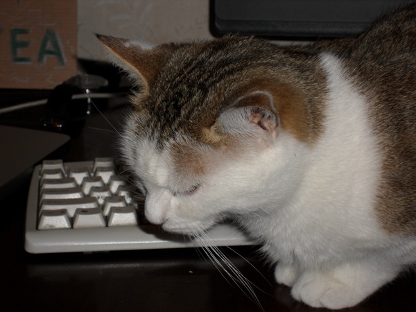 SAM_0136.jpg