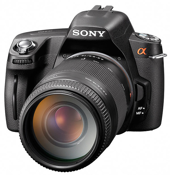 A290_15web.jpg