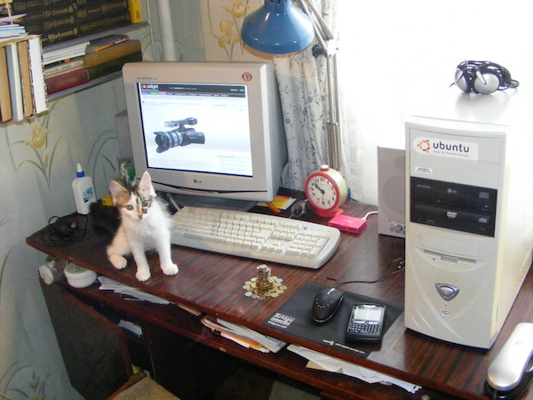 bohdan4ik13.JPG