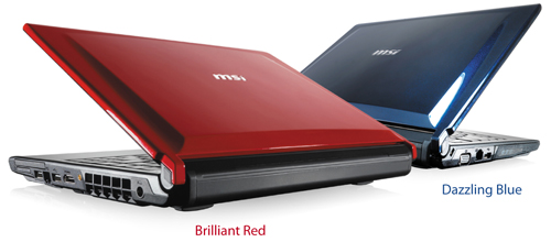 msi-ex310-both.jpg