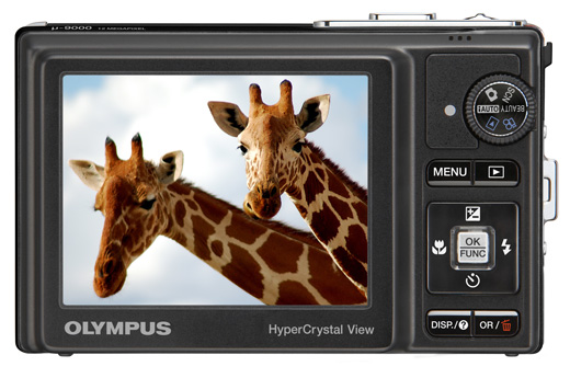 Olympus__-9000_1.jpg