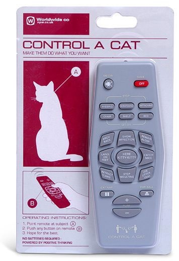 CatRC_1.jpg