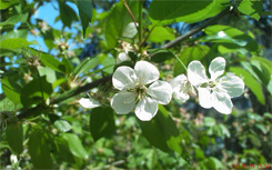 Опоздавший к обеду: обзор Sony Ericsson XPERIA X1-47 XPERIA_Shot13.jpg
