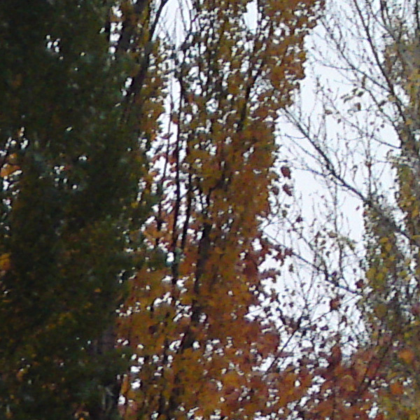 18102009030_2.jpg