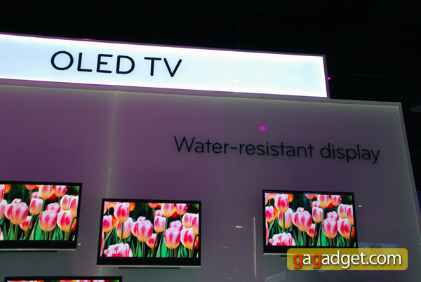 LG_CES2010_64.jpg