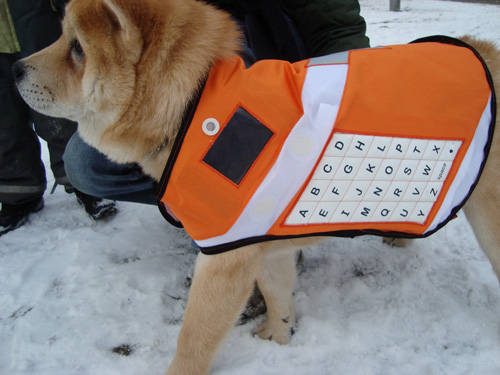MessengerDog_02.jpg