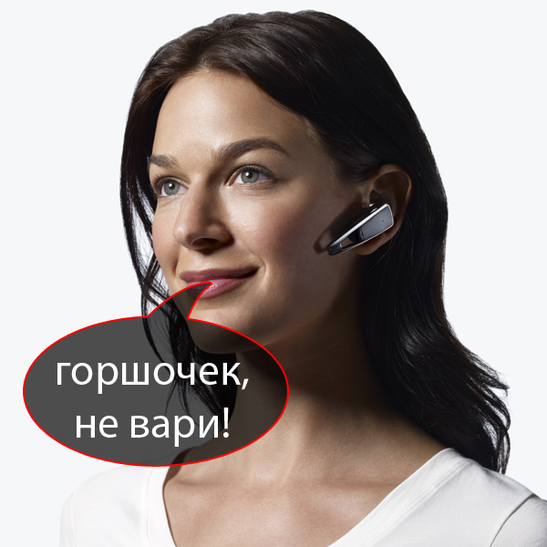 PlantronicsSavorM1100_01.jpg