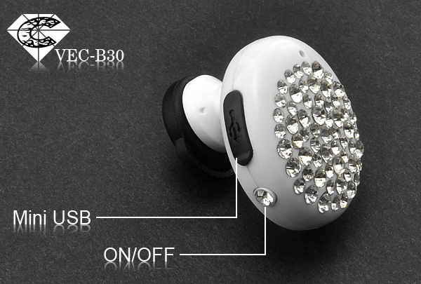 BlingmaxVEC-B30_03.jpg