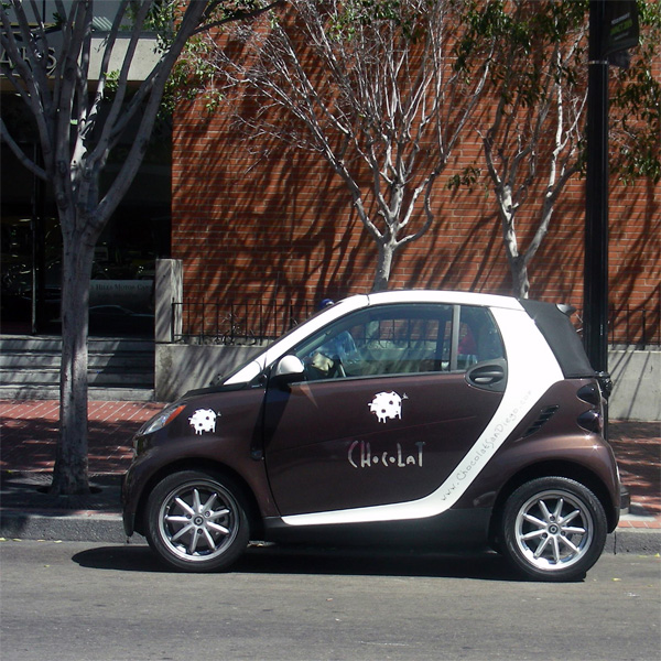 Competitor107_1.jpg