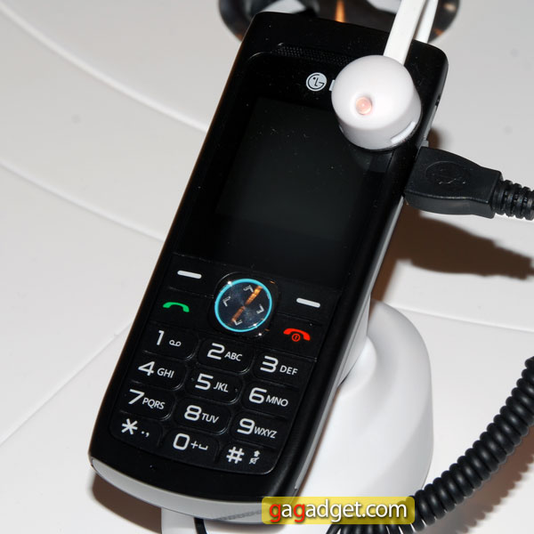LG_A110_02.jpg