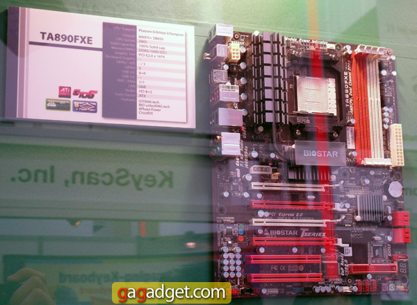 Biostar_04.jpg