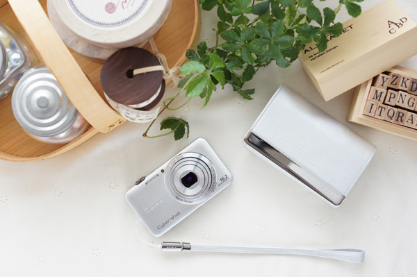 SonyWX30_10.jpg