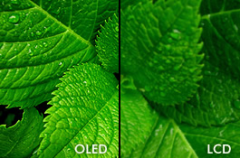 oled-tv-vs-lcd-tv.jpg