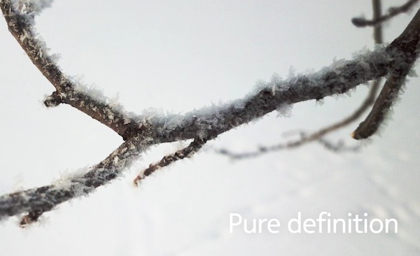 pureview.jpg