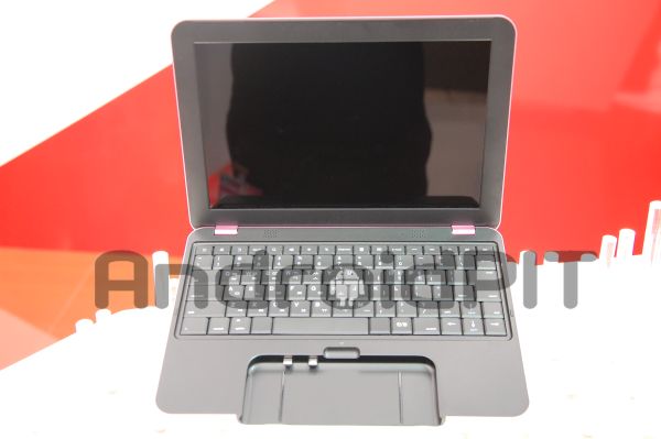 spider_laptop.jpg