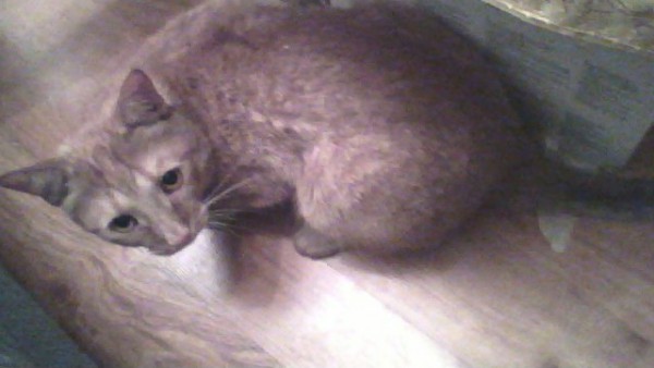 2012-03-11-190435.jpg
