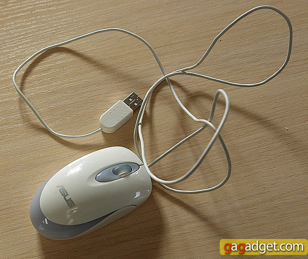 mouse.jpg