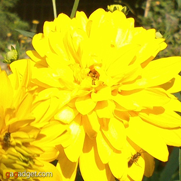 SonyXPERIA_P_camera06.jpg