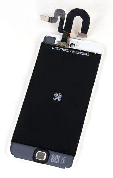 iFixit_iPod_touch_5G_14.jpg