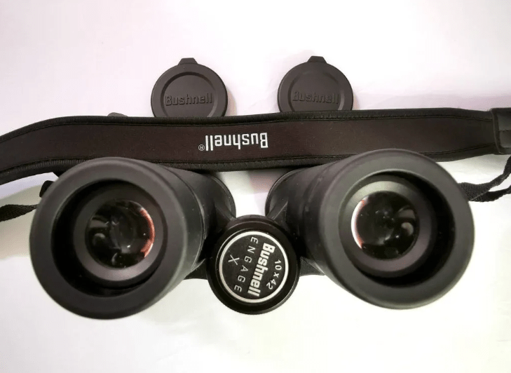 Jumelles étanches Bushnell Engage X 10x42