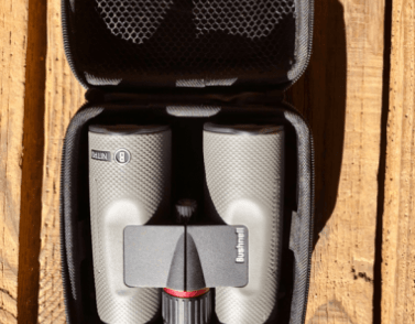 Jumelles Bushnell Nitro 10x42 pour observation d'oiseaux