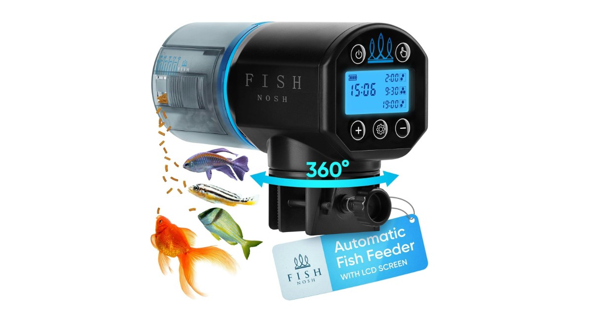 FISHNOSH battery operated fish feeder