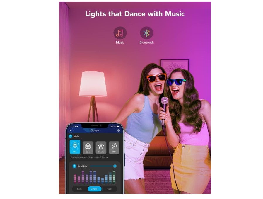 Govee standalone smart lighting system