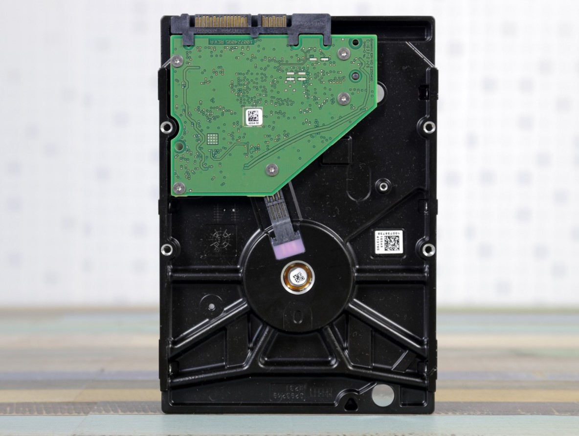 Seagate IronWolf or Seagate BarraCuda