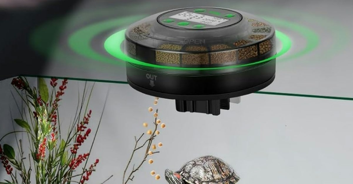 Papettly programmable fish food dispenser