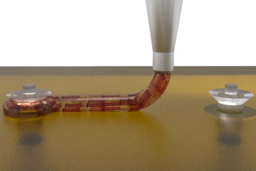 Harvard's Wyss Institute scientists 3D-printed a functional piece of a heart