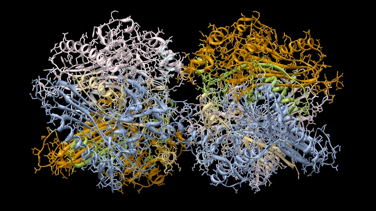 DeepMind's artificial intelligence made a database with 3D structures of almost every protein known to science